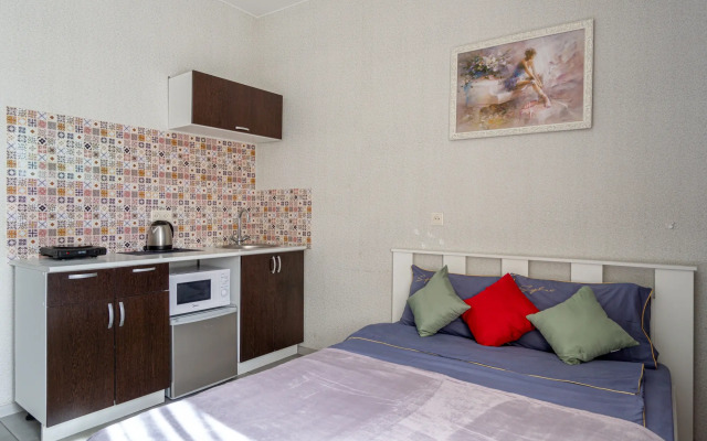 Апартаменты Студия Ninel у Московского вокзала