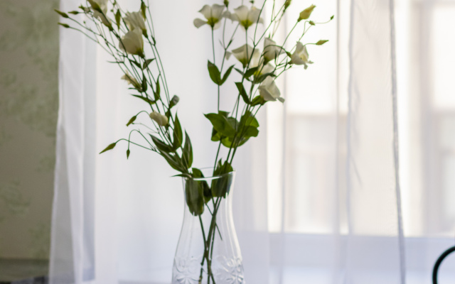 Апартаменты Aristocrat Flat