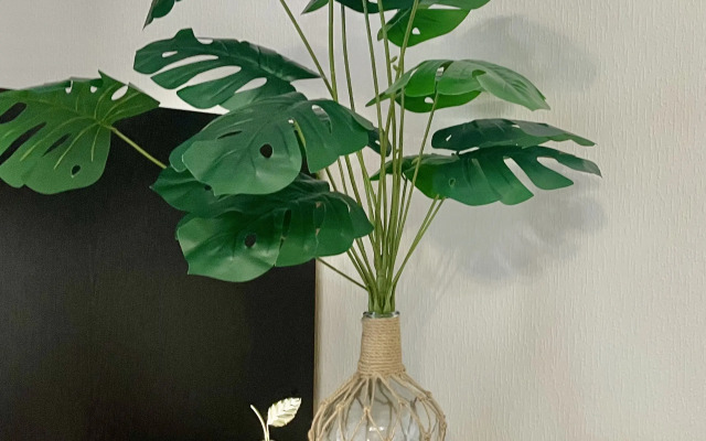 Krasivaya Studiya S Balkonom Flat