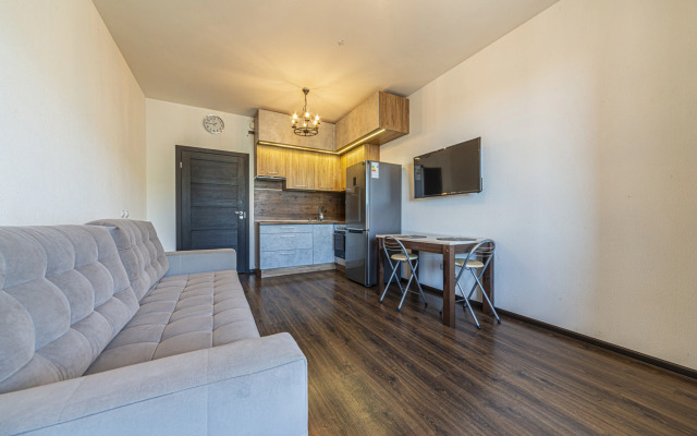 Квартира Студия с Диваном на Кондратьевском Проспекте