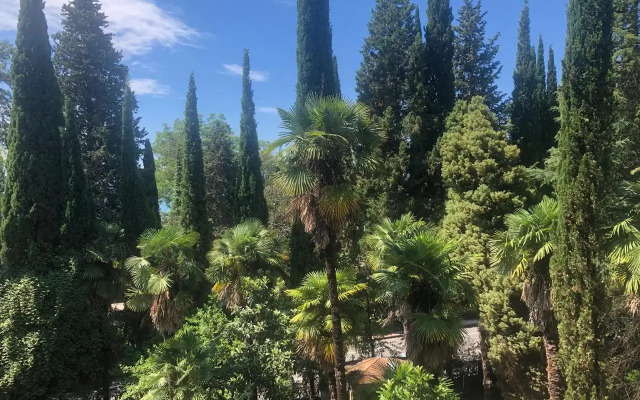 Gagra Hotel