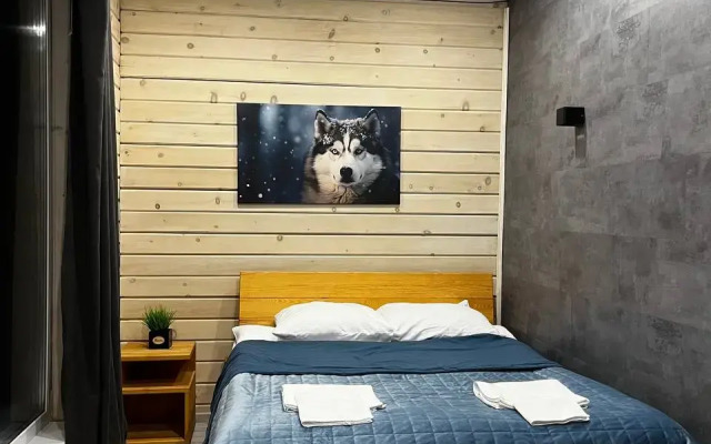 Частный дом Гостевой дом Снегири с баней