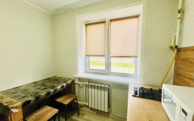 Ryadom S Avtovokzalom Apartments