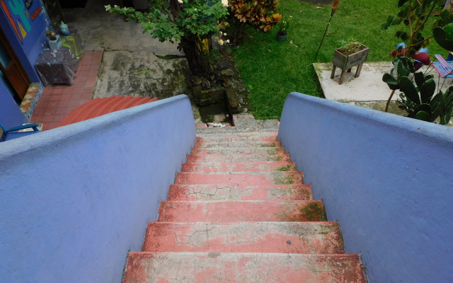 Catre de mi Corazón Rotamundos