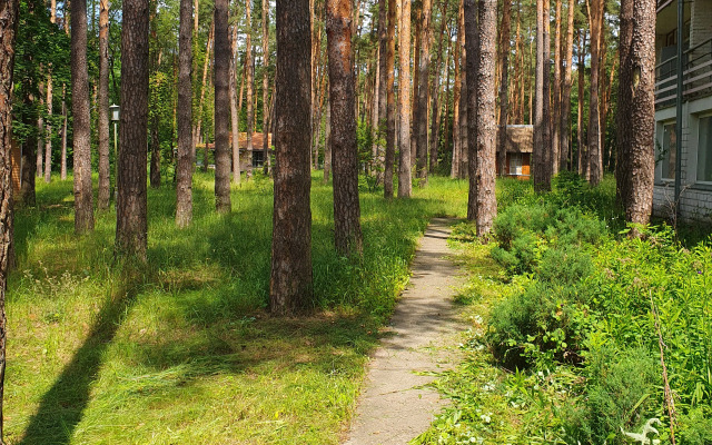 Recreation camp Zeleny Lug