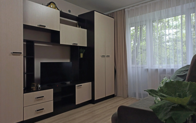 V Tsentre U Reki Pskovy Flat