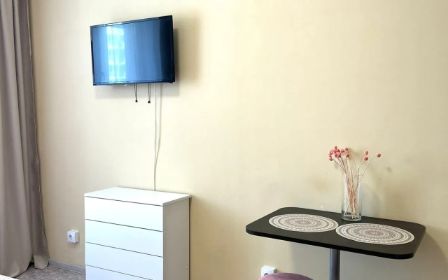 Studiya Vozle Bobrovogo Loga Flat