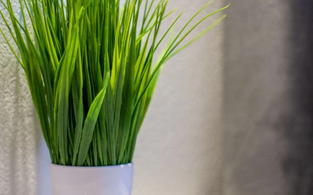 Апартаменты Студия рядом с Технопарком