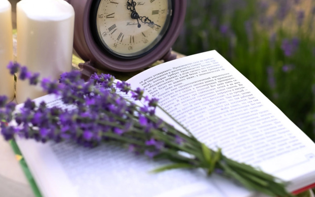 Шале Лаванда