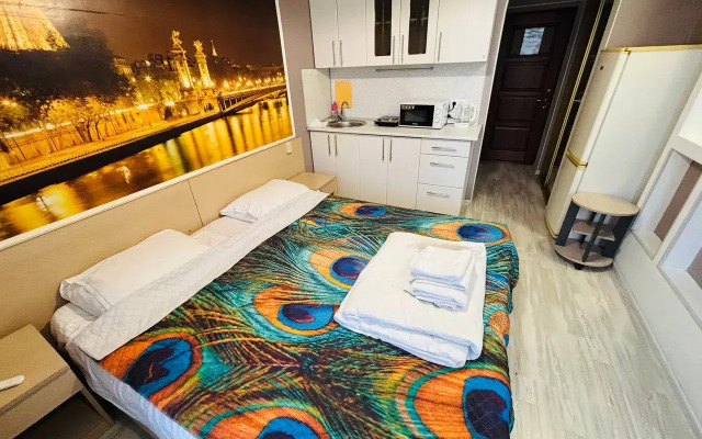 Studiya S Balkonom I Vannoy Apartment