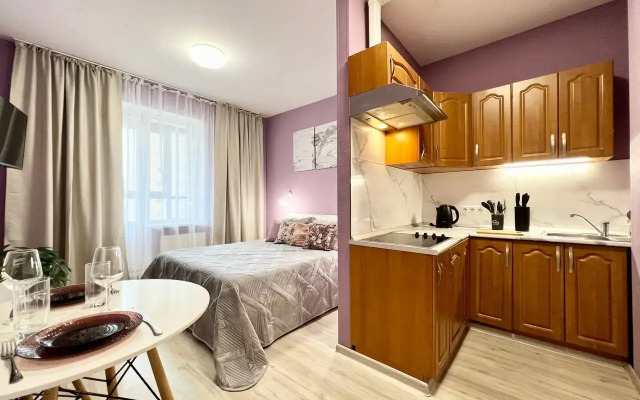 Studiya Gosti Doma u metro Pionerskaya Flat
