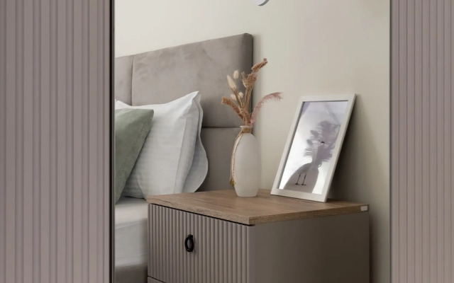 Апартаменты Двухкомнатные стильные у КВЦ Экспофорум ВГостиВПитер