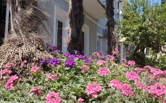 Dioskuriya Guest House