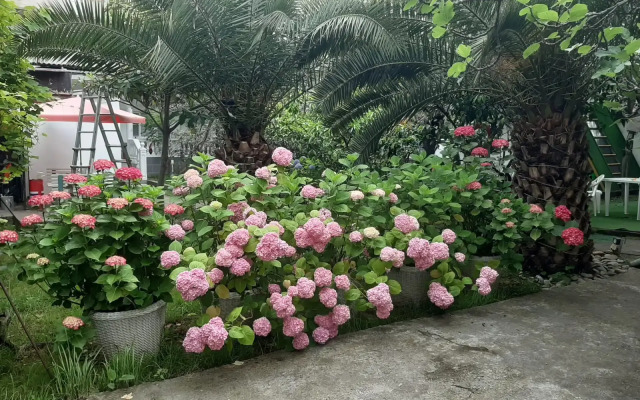 Гостевой дом Фиеста