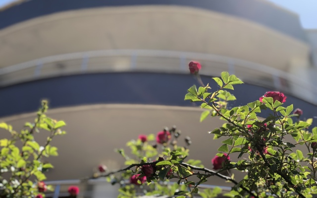 AYDIN Apartments