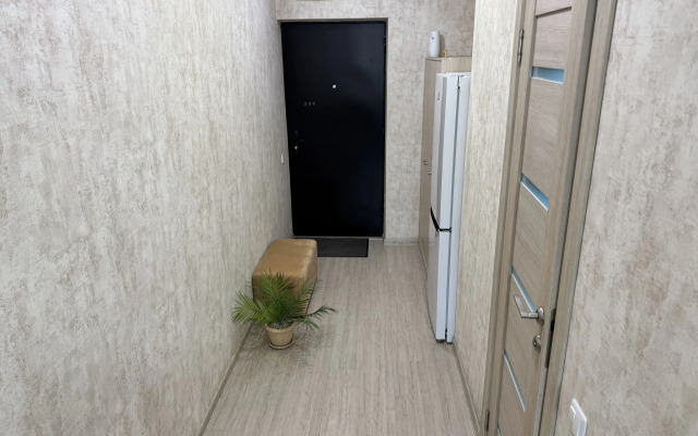 Uyutnaya Studiya V Zhk Zvezda Stolitsy Apartments