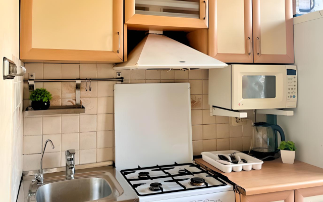 Апартаменты Однокомнатная квартира FANHOUSE