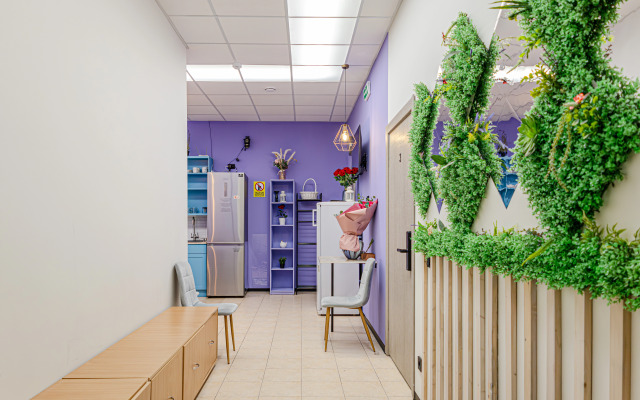 Хостел Камео