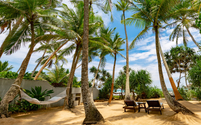 Taru Villas-906