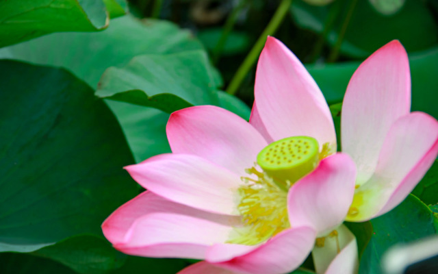 База отдыха Казачий дозор