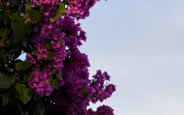 Boutique hotel AIMARA