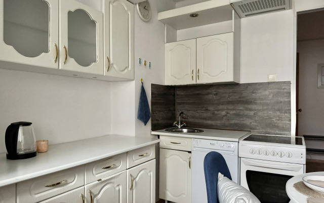 Апартаменты Шикарная со всеми удобствами