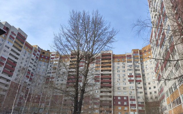 Апартаменты Ягодинская 25