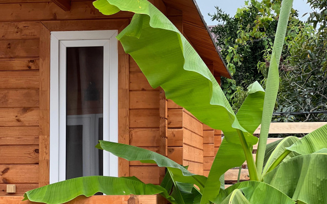 Guest house Dobro