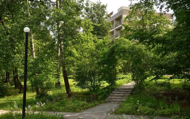 Revital Park Spa Hotel