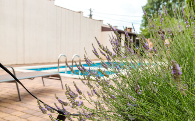 Гостевой дом Provence