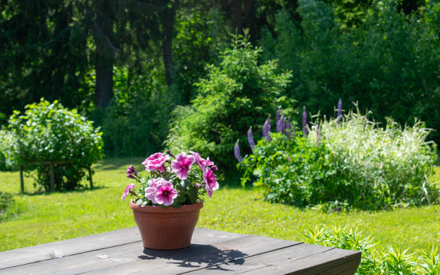 Kottedzh Na Beregu Ladogi Guest House