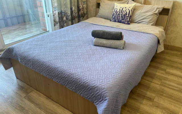 Квартира студия Аэропорт