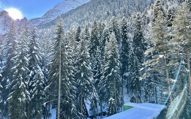 Квартира ArtHouse Dombay