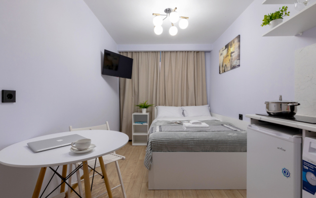 Апартаменты на Суворовском Проспекте (2)