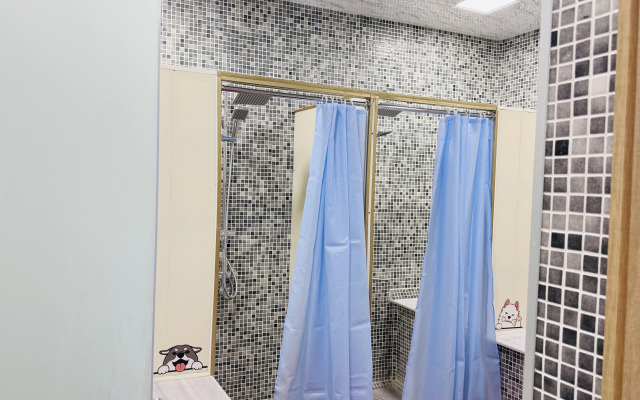 Alina Home Baku Hostel