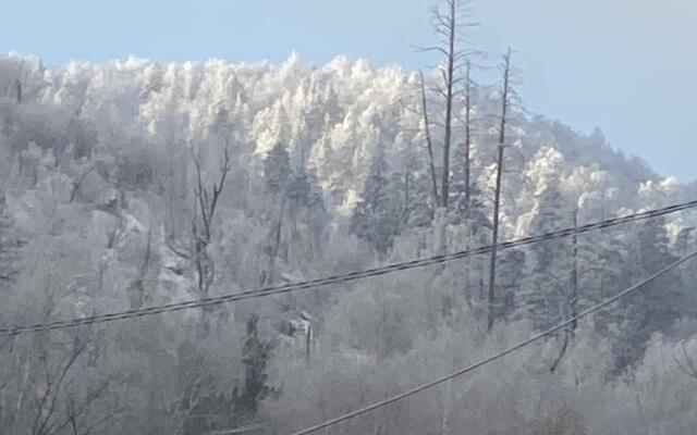 База отдыха Зольное Вилладж