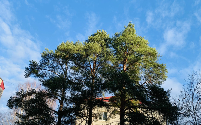 Квартира Однокомнатная квартира для одного-двух гостей