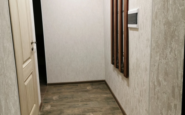 V Tsentre U Pogankinykh  I Menshikovykh Palat Flat