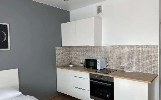 Domant Romanova 60/1 Apartments (8)