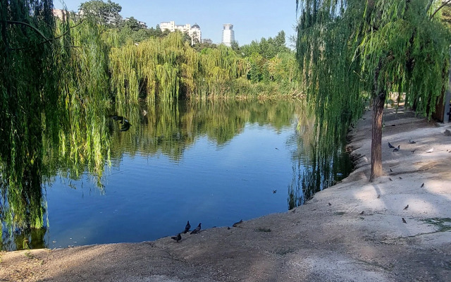 Апартаменты Kiwi