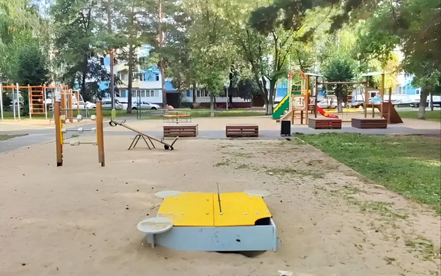 Uyutnaya Svetlaya v Tsentre Flat
