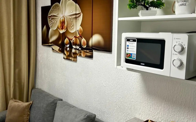 Апартаменты N3 на Петроградке