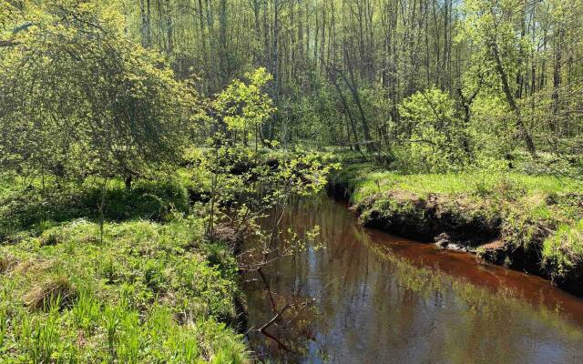 Дом с баней и камином