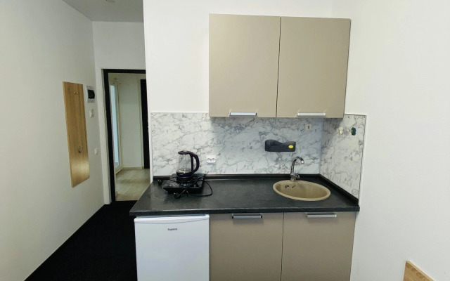 Apartments Nizhny Oranienbaum (213)
