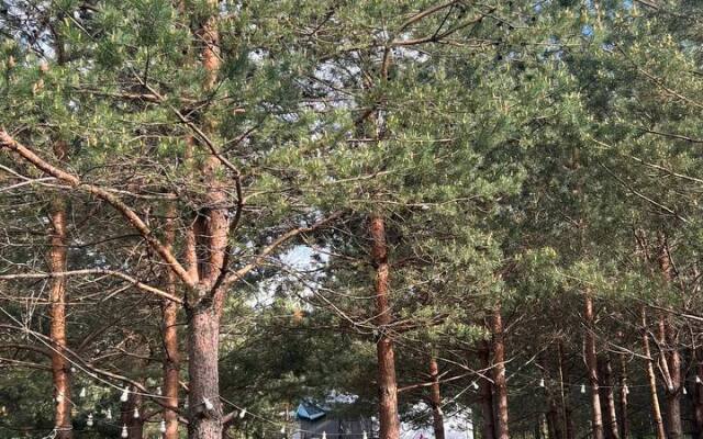 Глэмпинг Грибная Находка by Reston