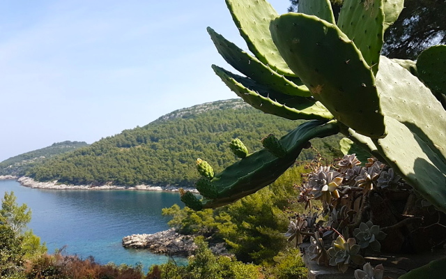 Stone House Poplat Villa