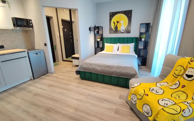 Studio Pioneer Flat