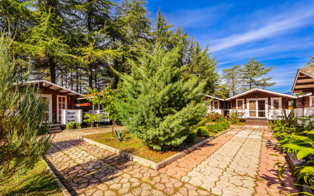 Hotel Eco House Pitiunt Resort