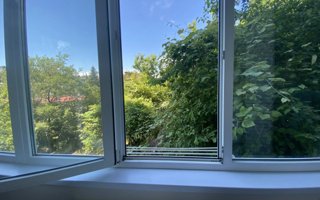 Apartments s Vidom na Sad