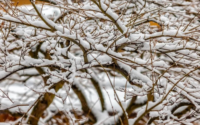 Апартаменты у Парка Галицкого